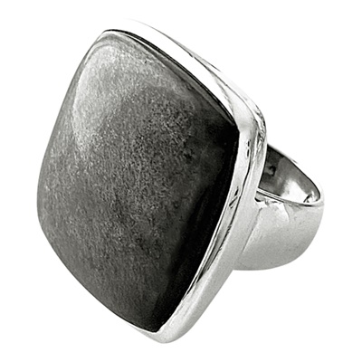 Silber Ring mit Nuummite