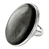 Silber Ring mit Nuummite (235RINU3009)