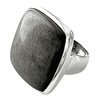 Silber Ring mit Nuummite (235RINU3010)